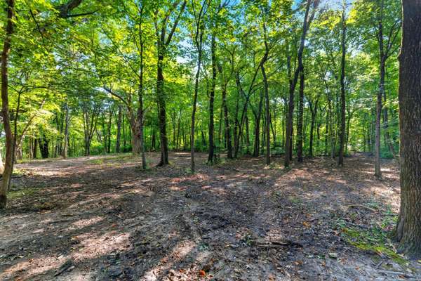 Parcel G 248th ST, Colo, IA 50056