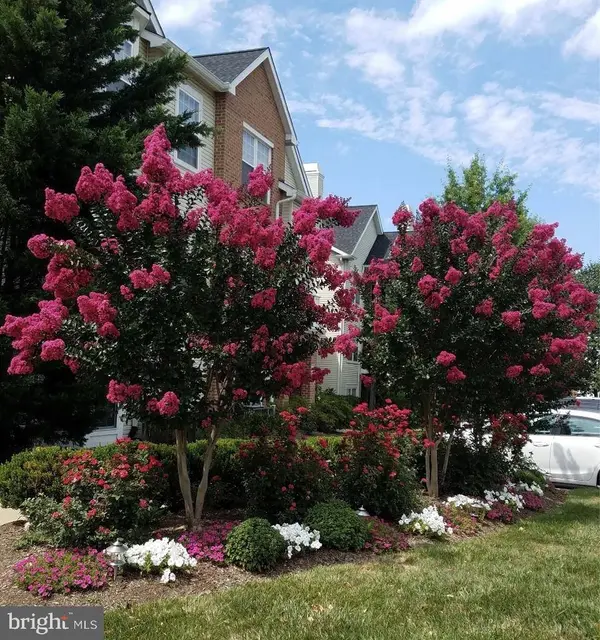 4132 FOUNTAINSIDE LN #204, Fairfax, VA 22030