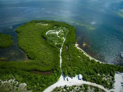 Leffis Key Preserve