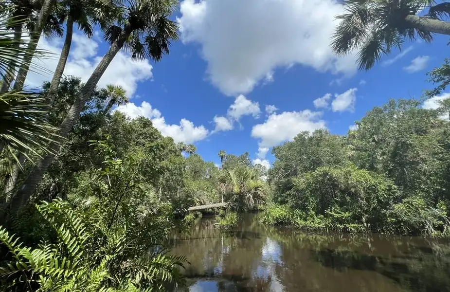Palmetto Estuary Preserve