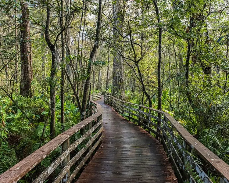Audubon-Pennington Nature Park