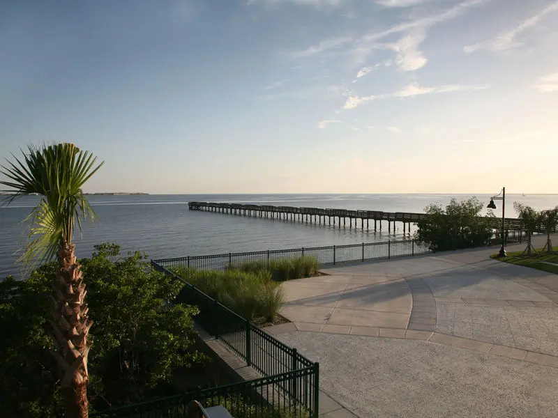 Bayshore Live Oak Park