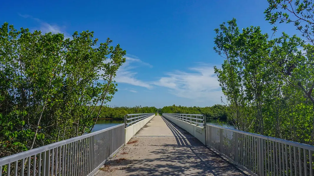 Cape Haze Piooner Trail