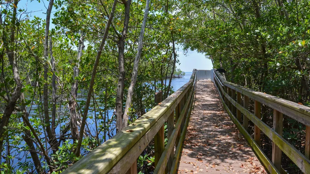 Linear Park