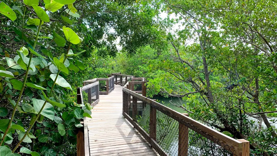 Clam Bayou Nature Preserve