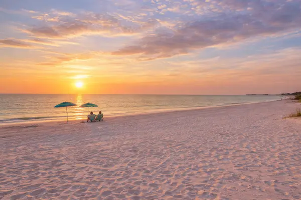 What Are the Best Beaches Near Palm Harbor, Florida?