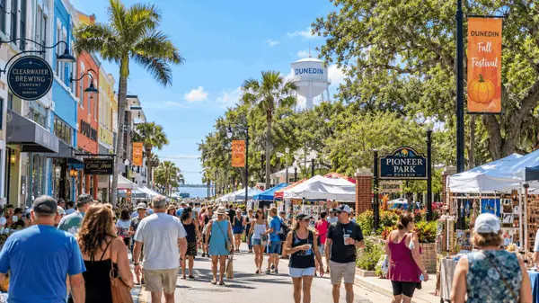 Things to Do in Dunedin This October,Hunt Brothers Realty