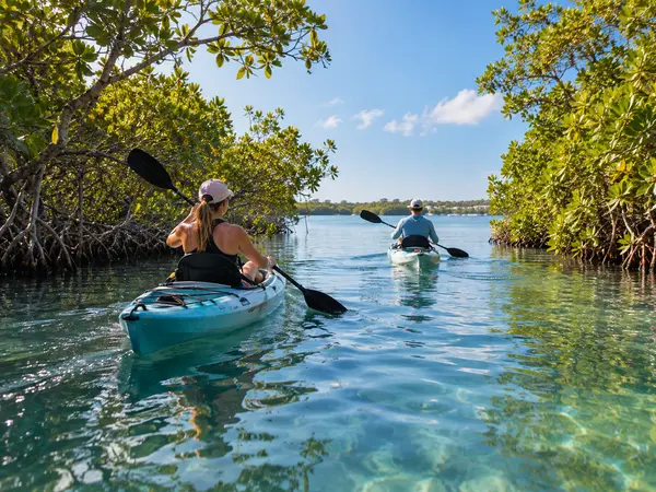 Best Places to Kayak & Paddleboard This Fall Near Sarasota