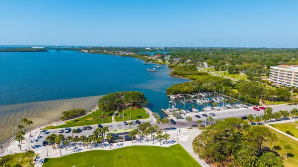 Palm Harbor FL