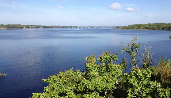 Lake Tarpon Florida