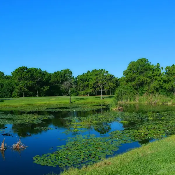 Long Marsh