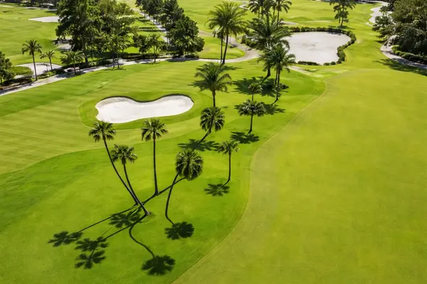 Palms Golf Course - Pebble Beach - Rotonda West