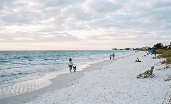 A Local's Guide to Siesta Key Beach Beyond the Tourist Season