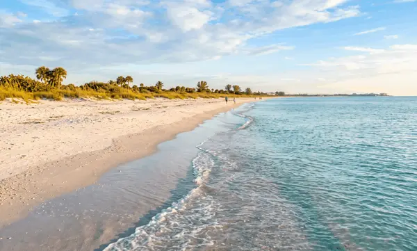 Affordable Coastal Alternatives: Where to Look Near Venice Without Paying Siesta Prices