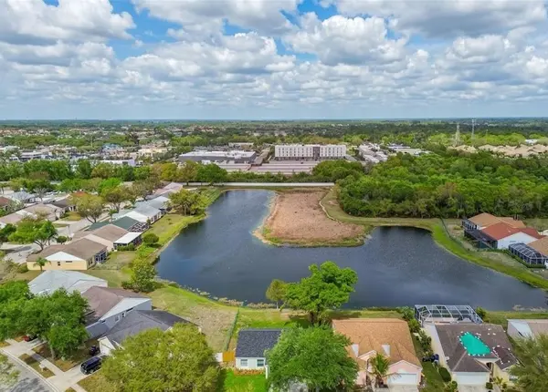 Braden Crossings: Contemporary Living Near the Braden River,Hunt Brothers Realty