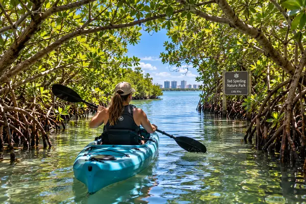 Where to Kayak in Sarasota Between Home Showings,Hunt Brothers Realty
