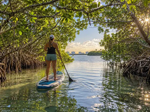 Where to Paddleboard Around Lido Key and Longboat Key