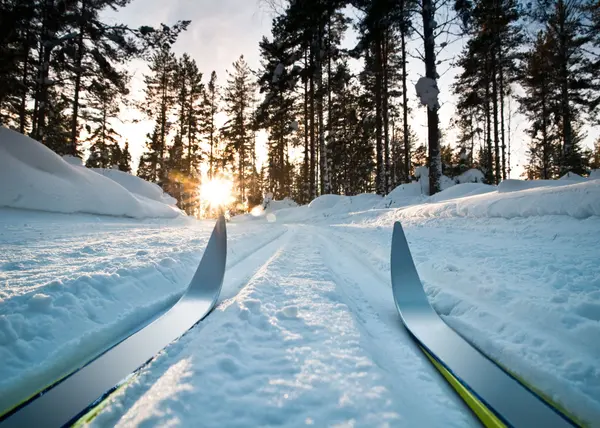 Buying a Mountain Property in the Kootenays: What Buyers Should Know Before They Start