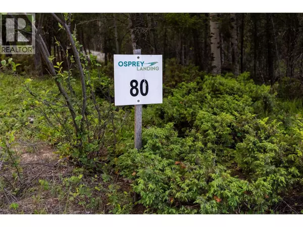 Lot 80 Osprey Landing Court, Wardner, BC V0B2J0