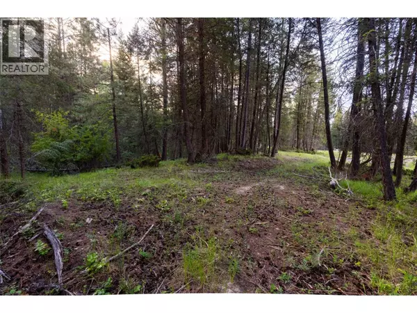 Lot 80 Osprey Landing Court, Wardner, BC V0B2J0