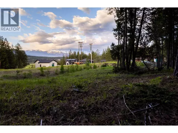 Lot 80 Osprey Landing Court, Wardner, BC V0B2J0