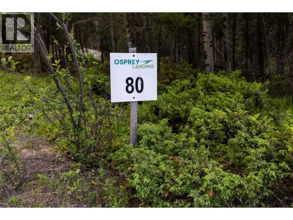 Lot 80 Osprey Landing Court, Wardner, BC V0B2J0