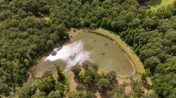 1522 Fm 17, Grand Saline, TX 75140