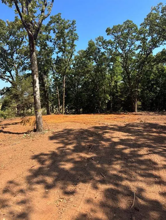 19478 CEDARPARK Place, Lindale, TX 75771