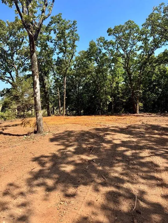 19470 CEDARPARK Place, Lindale, TX 75771