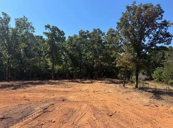 19478 CEDARPARK Place, Lindale, TX 75771