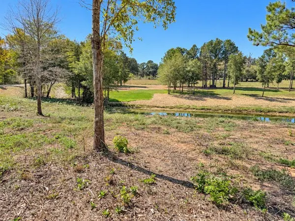 TBD FM 2015 Lot C, Winona, TX 75792