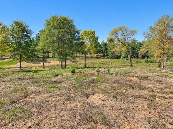 TBD FM 2015 Lot C, Winona, TX 75792