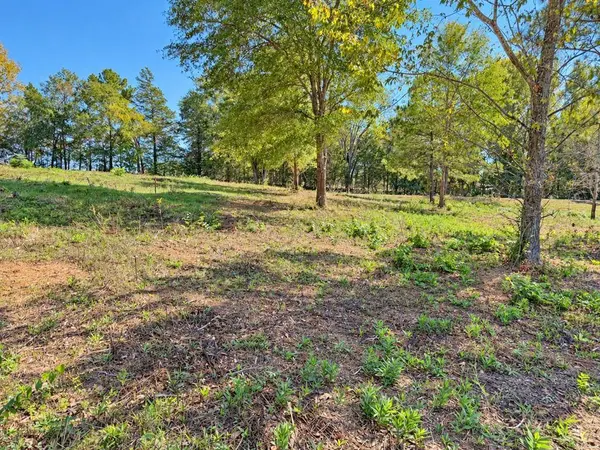 TBD FM 2015 Lot A, Winona, TX 75792