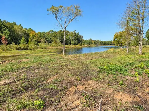 TBD FM 2015 Lot A, Winona, TX 75792
