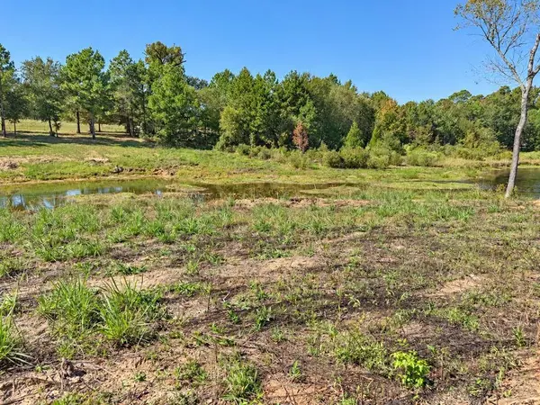 TBD FM 2015 Lot C, Winona, TX 75792