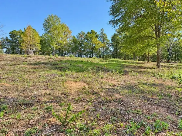 TBD FM 2015 Lot A, Winona, TX 75792