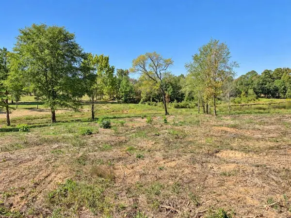 TBD FM 2015 Lot C, Winona, TX 75792