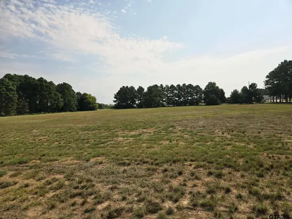 0 Palomino Ct, Athens, TX 75752