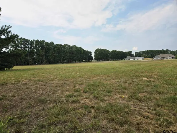 0 Palomino Ct, Athens, TX 75752