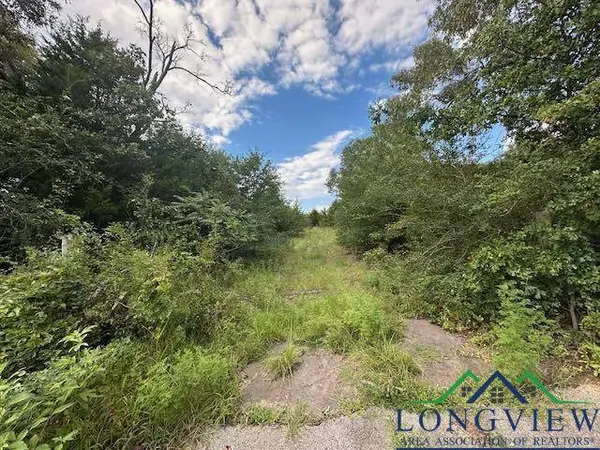 TBD VZCR 1823, Grand Saline, TX 75140