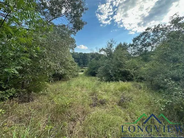 TBD VZCR 1823, Grand Saline, TX 75140