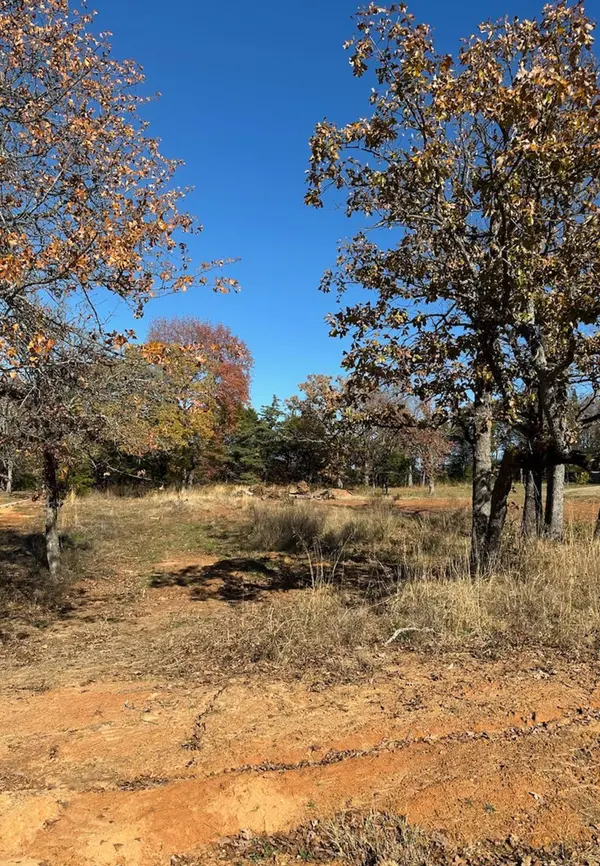 19688 DOVE RIDGE DR, Lindale, TX 75771