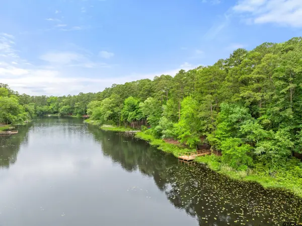 297 Bobwhite Ln, Holly Lake Ranch, TX 75765