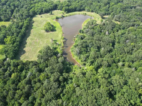 TBD CR 3371, Saltillo, TX 75478