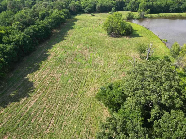 TBD CR 3371, Saltillo, TX 75478