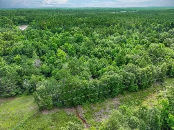 TBD CR 2177, Troup, TX 75789