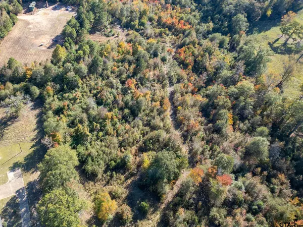 TBD State Highway 43 E, Henderson, TX 75652