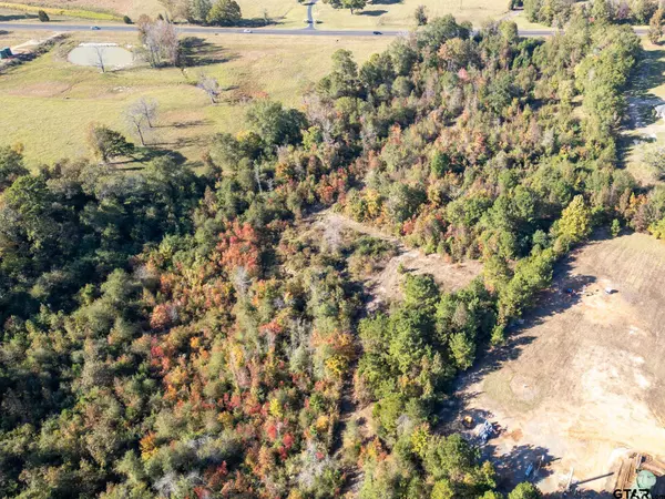 TBD State Highway 43 E, Henderson, TX 75652