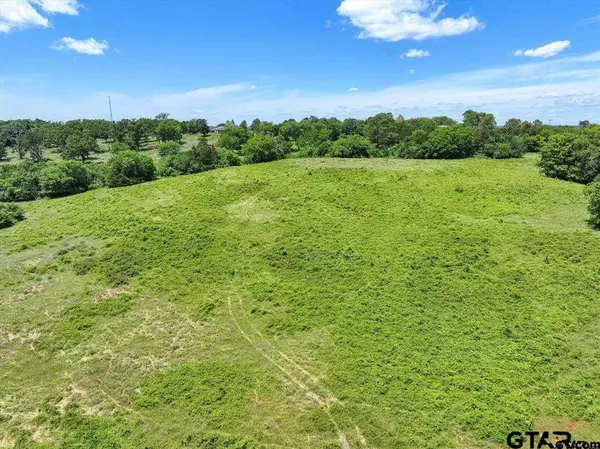 TBD CR 2493, Bullard, TX 75757