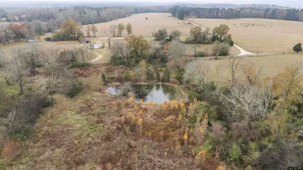 1533 COUNTY ROAD 2807, Alto, TX 75925